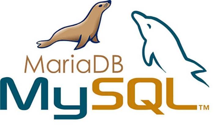 MariaDB / MySQL
